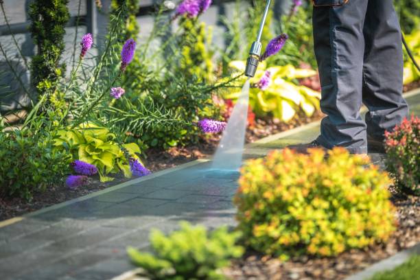 Best Concrete Surface Cleaning in Reedsburg, WI