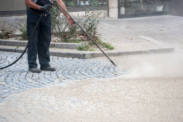 Best Driveway Cleaning and Restoration in Reedsburg, WI