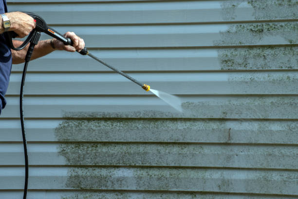 Best Window and Screen Pressure Cleaning in Reedsburg, WI