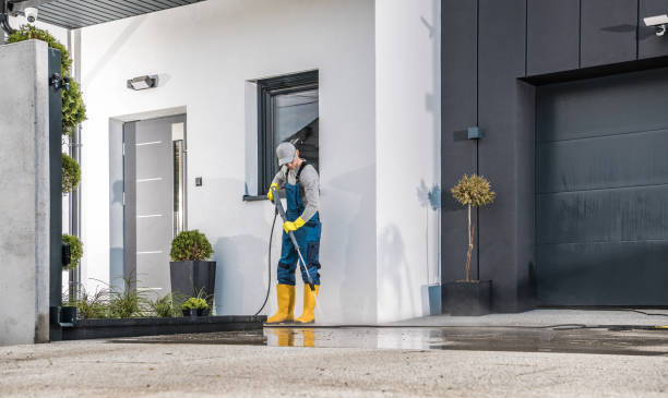 Best Soft Washing for Delicate Surfaces in Reedsburg, WI